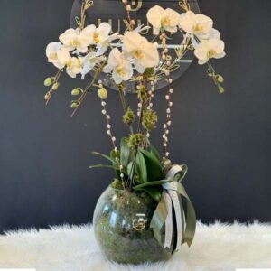 Three-Stem White Orchid