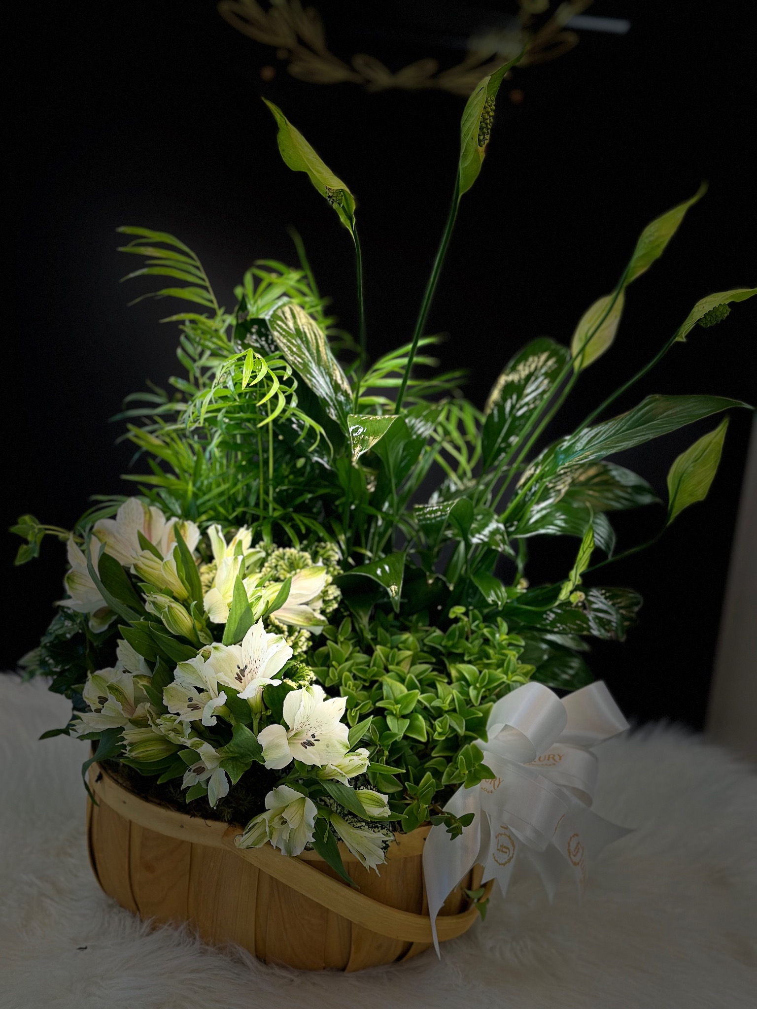 Rooted in Beauty: The Lasting Charm & Meaning of Dish Gardens