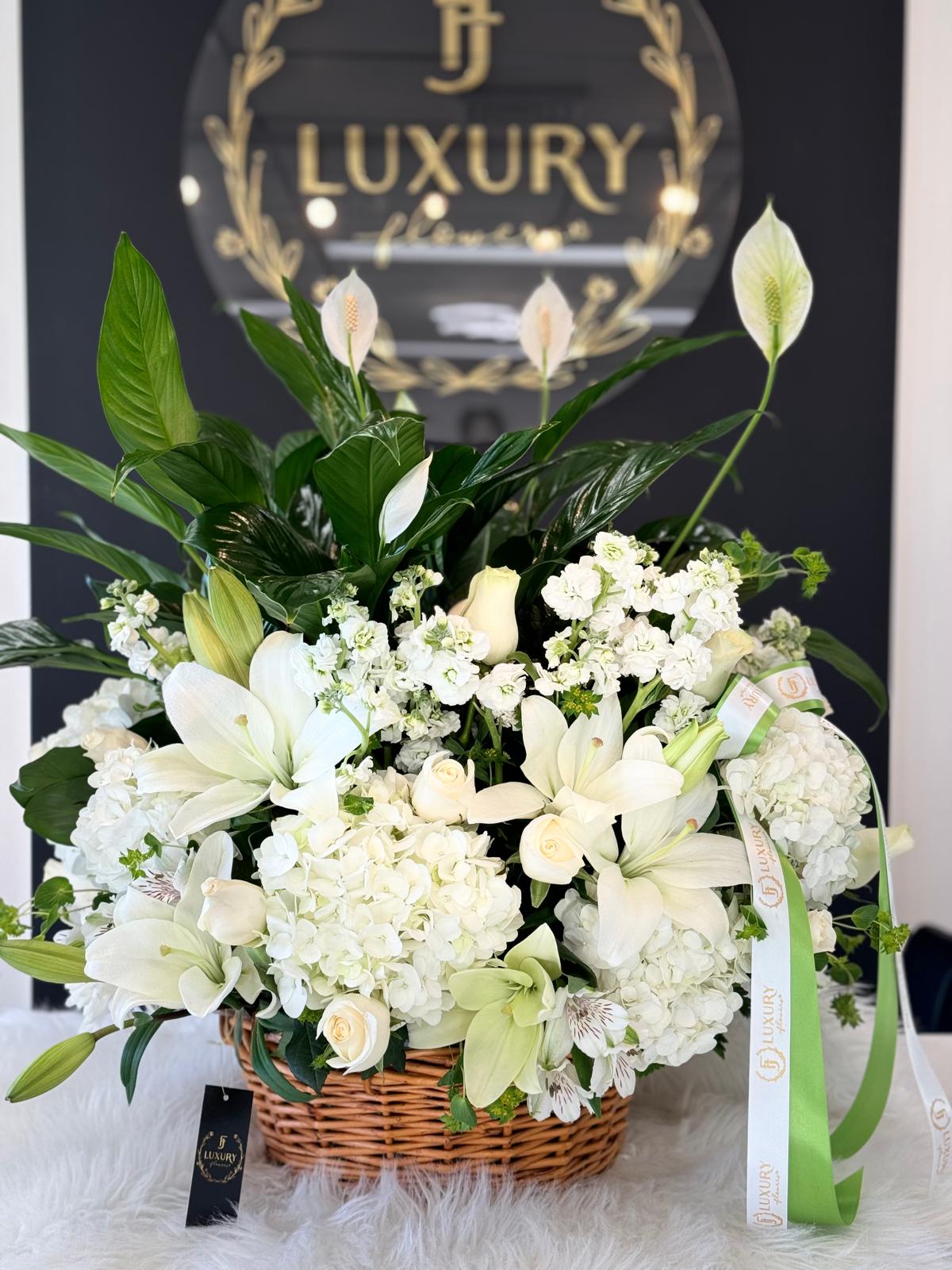 The Symbol of Serenity: Discover the Timeless Beauty of the Peace Lily